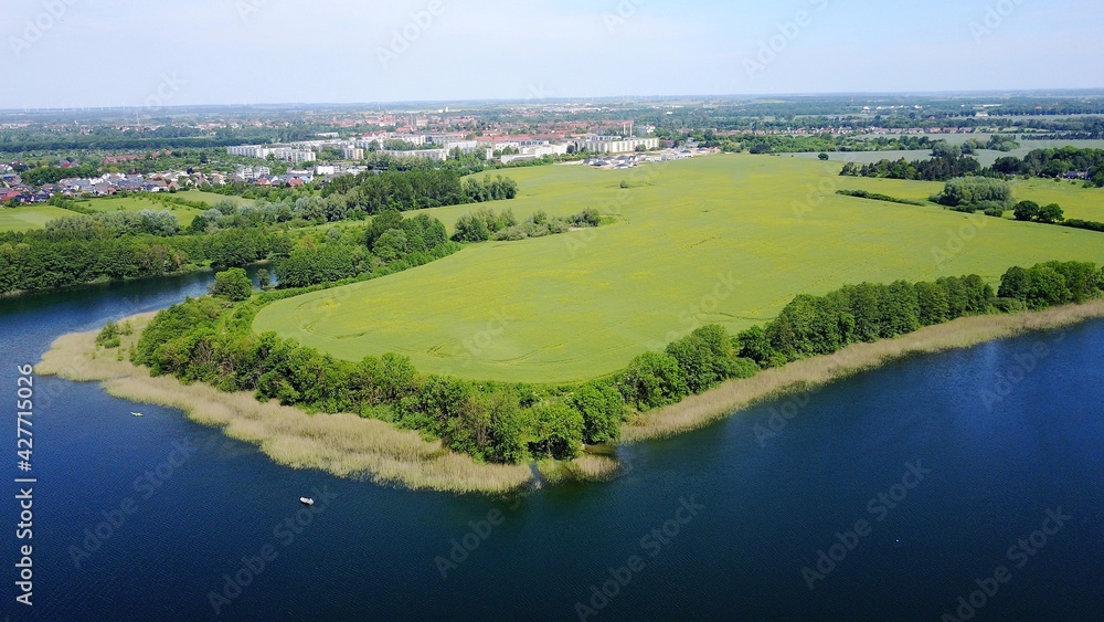 aerial view of a lake with trees and reed 