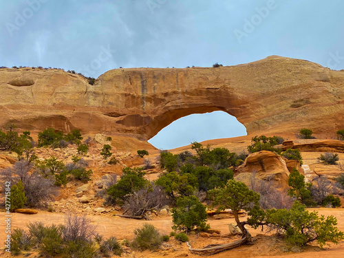 Wilson Arch with plants in the foreground under a cloudy sky in the USA photo