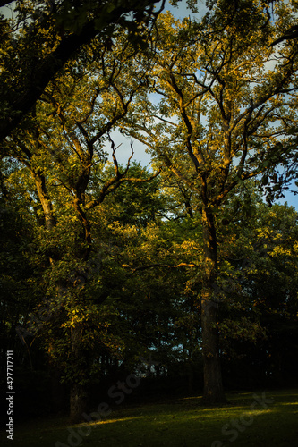 autumn in the park © Ean Miller Photos
