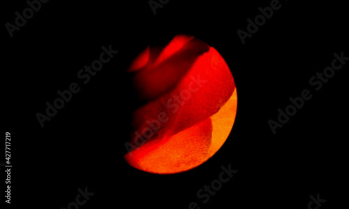 Abstract colorful background or Natural pattern. Macro shot of an orange slice. Beautiful transparent creativity on dark background.Copy space