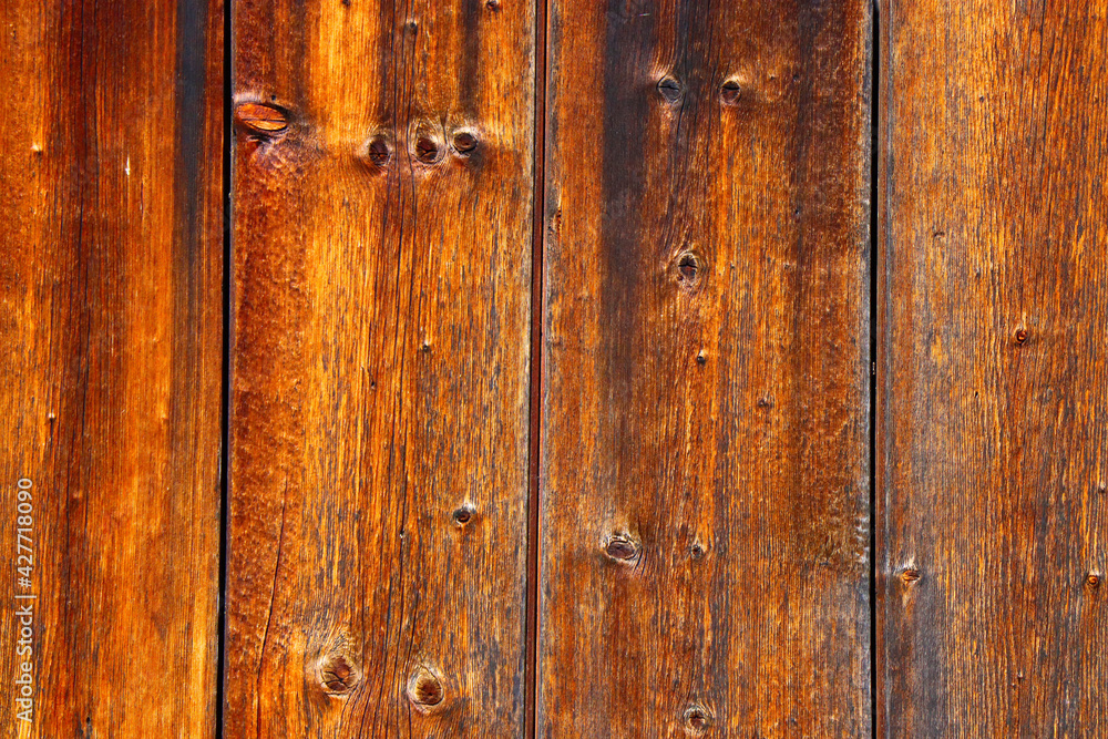 wood tree timber background texture structure backdrop wood tree timber background texture structure backdrop