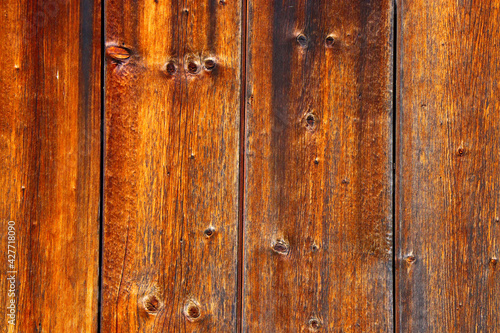 wood tree timber background texture structure backdrop