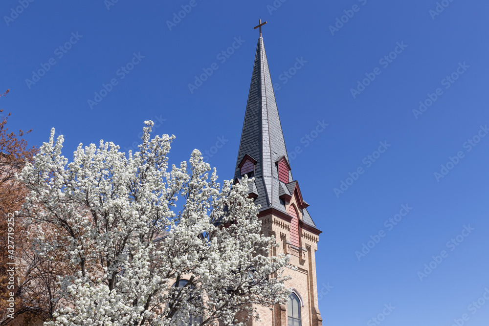 Springtime tree blooms outside of a church steeple.