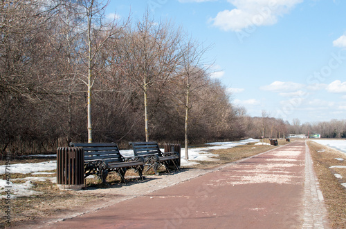 View of the park alley with the remains of snow, benches and trees.