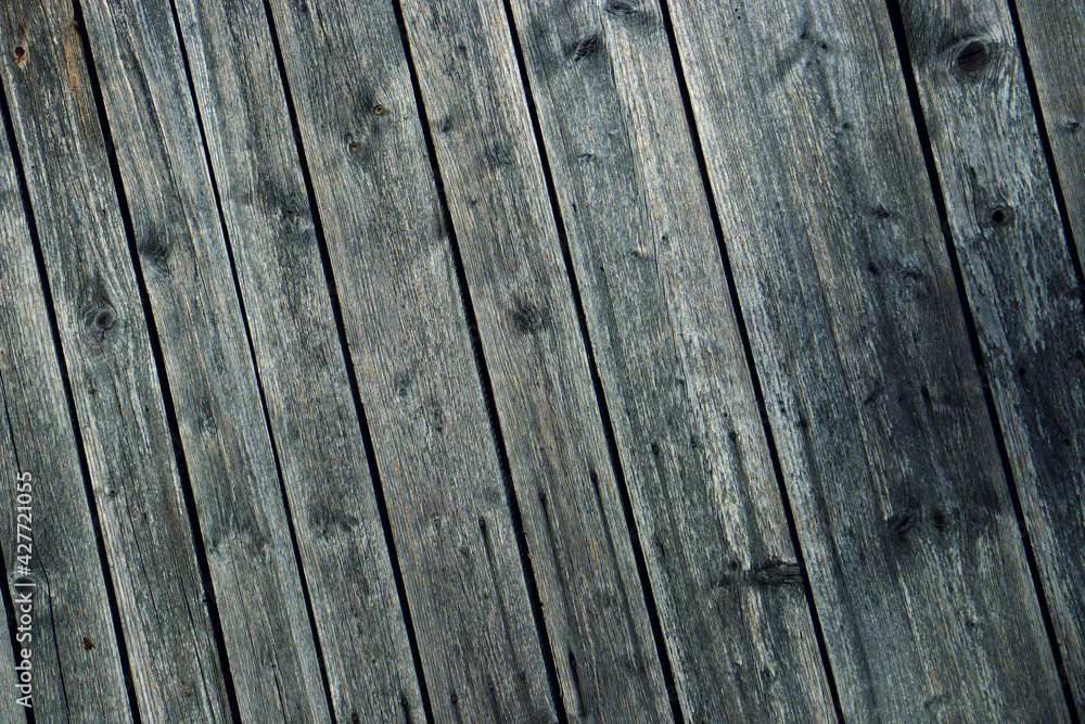wood tree timber background texture structure backdrop wood tree timber background texture structure backdrop
