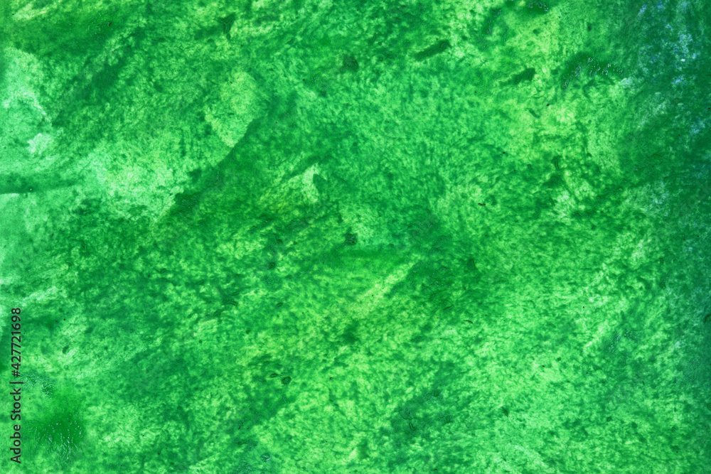 texture of the dirty green watercolor background