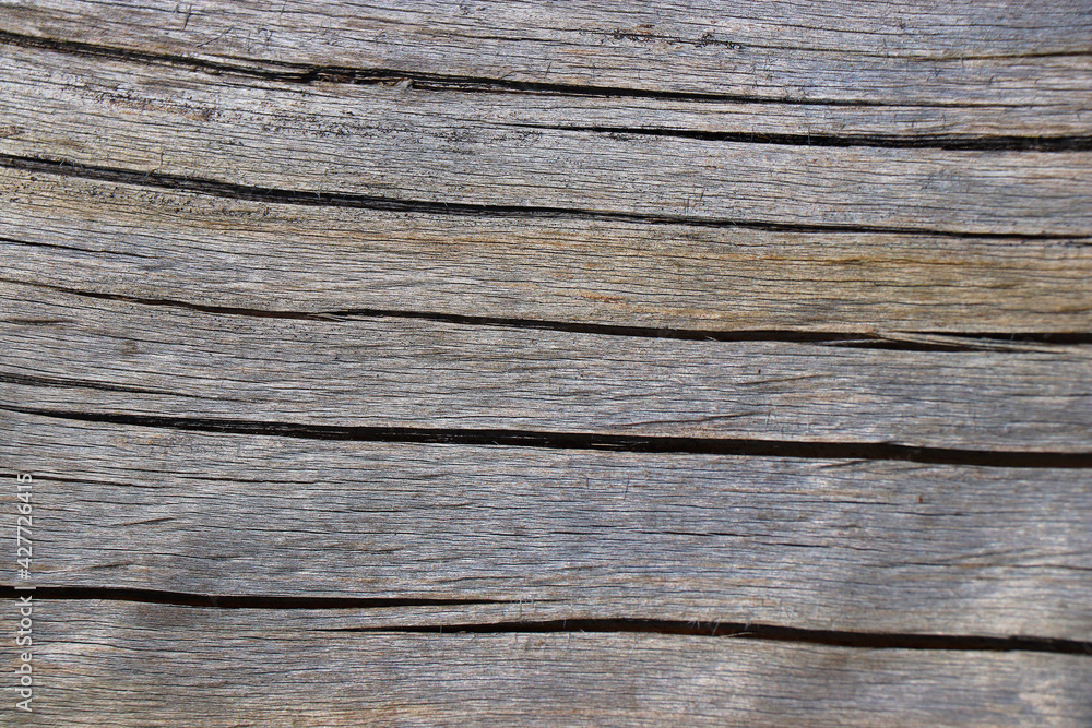 wood tree timber background texture structure backdrop wood tree timber background texture structure backdrop