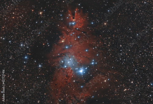 Nebulosa NGC 2264 Albero di Natale  e nebulosa Cono