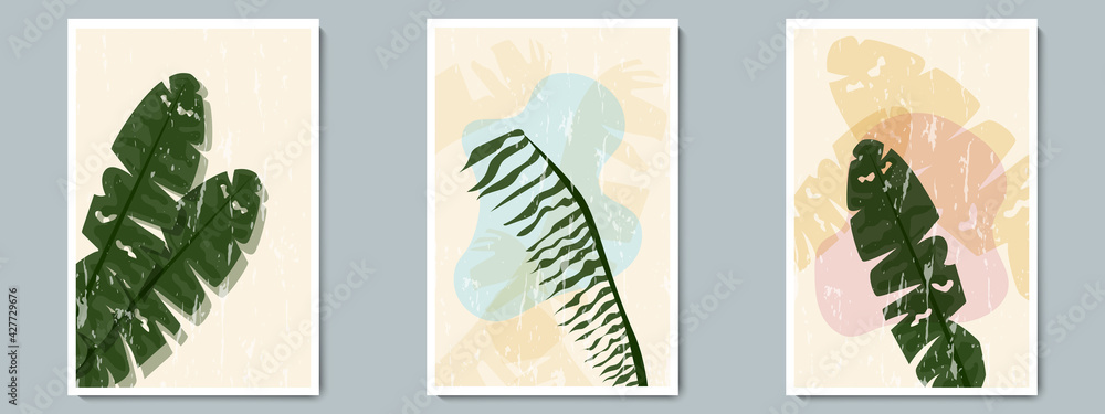 Botanical Wall Art Vector Poster Spring, Summer Set. Minimalist Tropical Plant with Abstract Shape and Grunge Texture