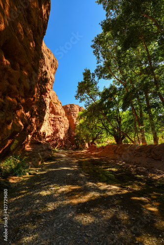 A leafy and shady side canyon on the Ruta 40 road to La Poma and the Abra el Acay mountain pass, Salta Province, northwest Argentina