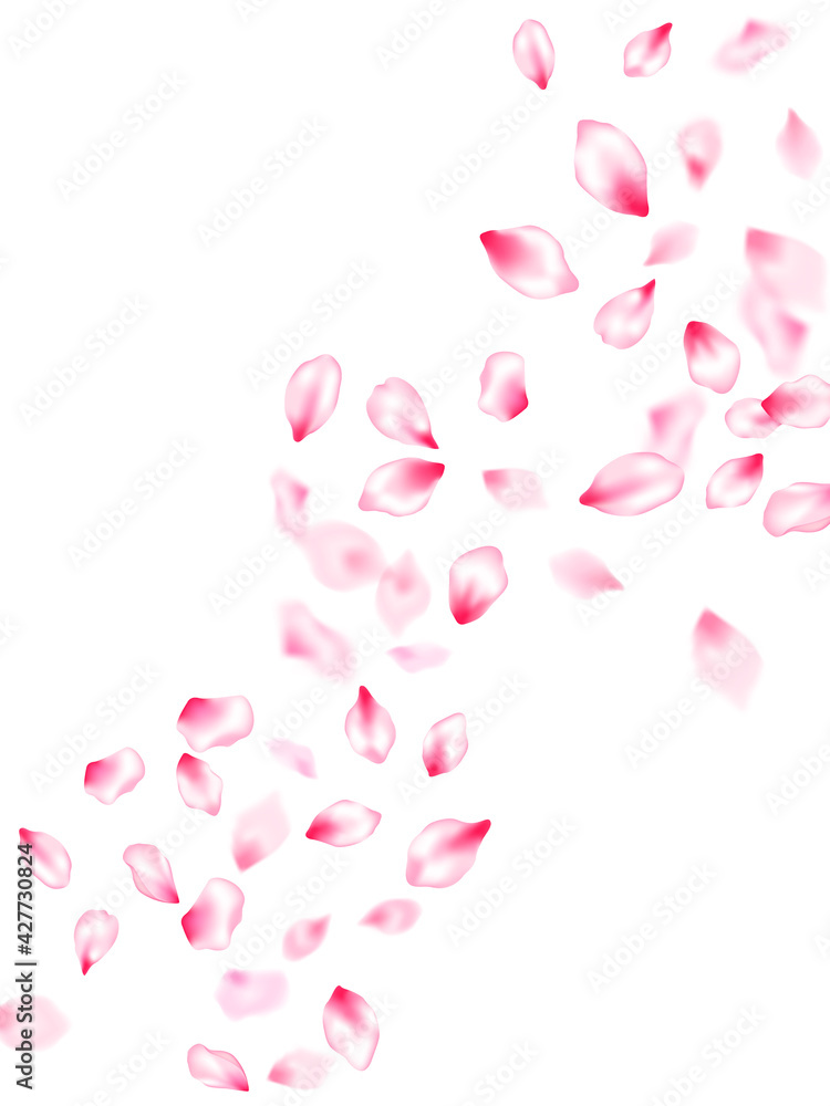 Spring tree flowers parts, airy flying petals Spring tree flowers parts, airy flying petals
