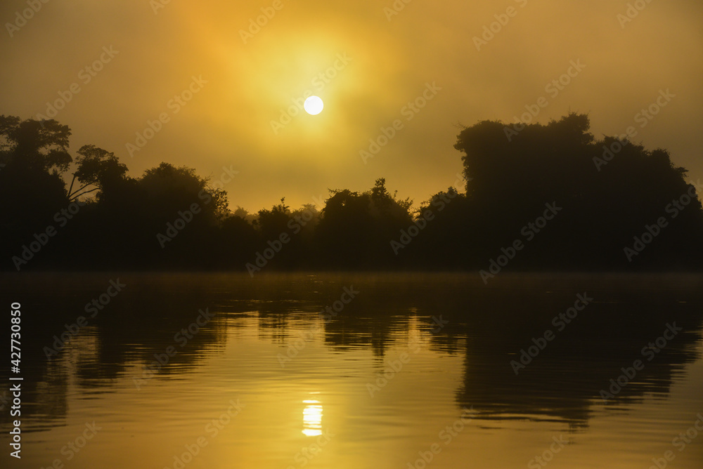 Dawn on a misty Amazonian rainforest riverbank, Guaporé - Itenez river near Remanso village, Bolivia, on the border with Rondonia state, Brazil Dawn on a misty Amazonian rainforest riverbank, Guaporé - Itenez river near Remanso village, Bolivia, on the border with Rondonia state, Brazil