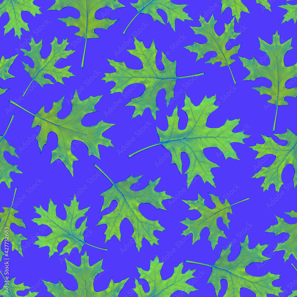 Maple leaves seamless pattern. Green on cornflower blue background.