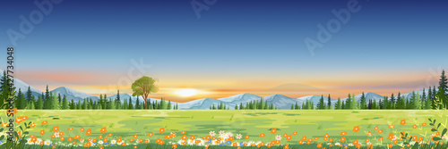 Spring landscape with sunset sky with mountain and pine trees in evening,Panorama Green field of grass land with wild flower blooming in Summer,Cartoon vector horizon banner for World environment day
