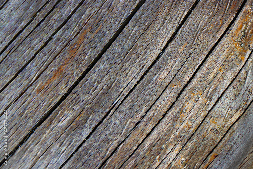 wood tree timber background texture structure backdrop wood tree timber background texture structure backdrop