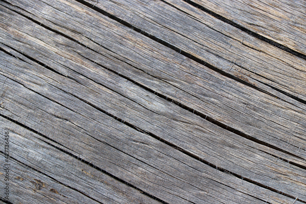 wood tree timber background texture structure backdrop wood tree timber background texture structure backdrop