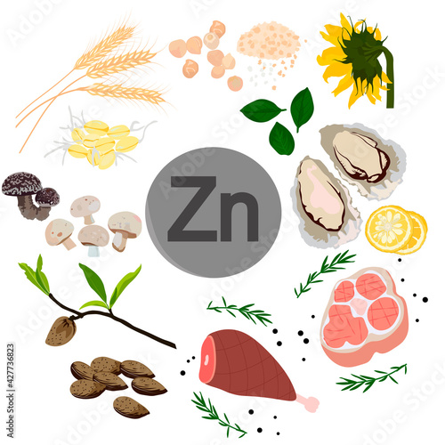 Zinc vector stock illustration. Food products with a high content of the mineral. Oysters, chickpeas, sunflower seeds, wheat, spinach, beef, pork. Information poster. Food, diet. isolated on a white b