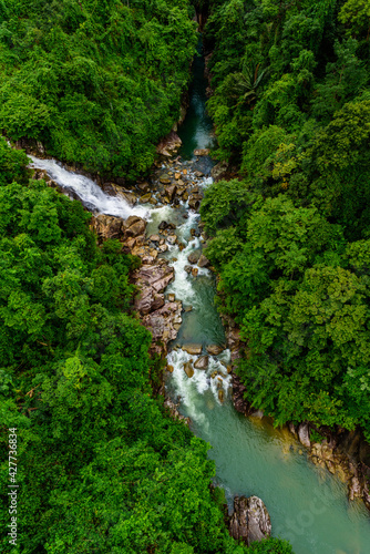 Aerial top view of tropical forest - beautiful tranquil scenery in jungle - tree view from above - healthy environment and Rainforest ecosystem concept