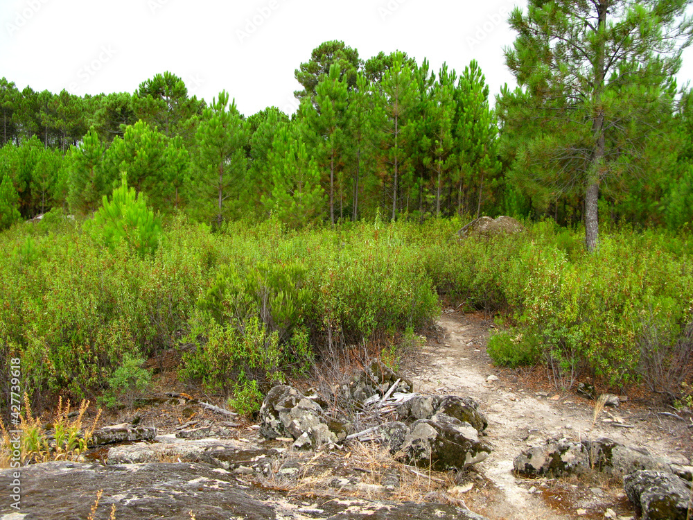 SENDERISMO RUTA CRUZ DE LA TENDERA ARENAS DE SAN PEDRO