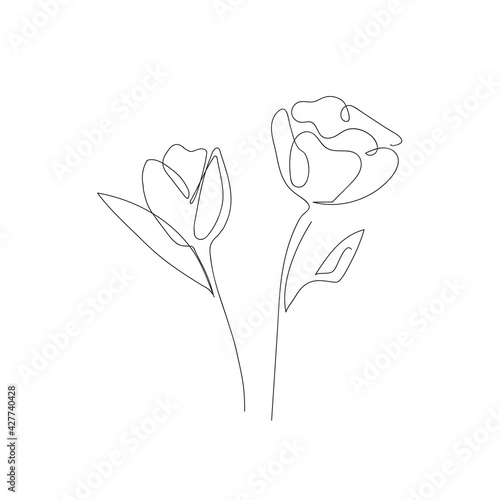 flower line drawing. Hand-drawn minimalist illustration vector 