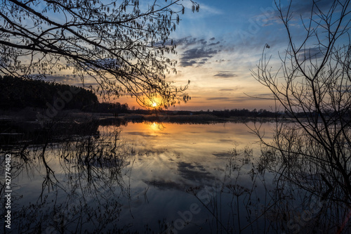 The river overflowed its banks. Flooded land and bushes. The setting sun is reflected in the water. Evening landscape with a river and branches in the foreground.