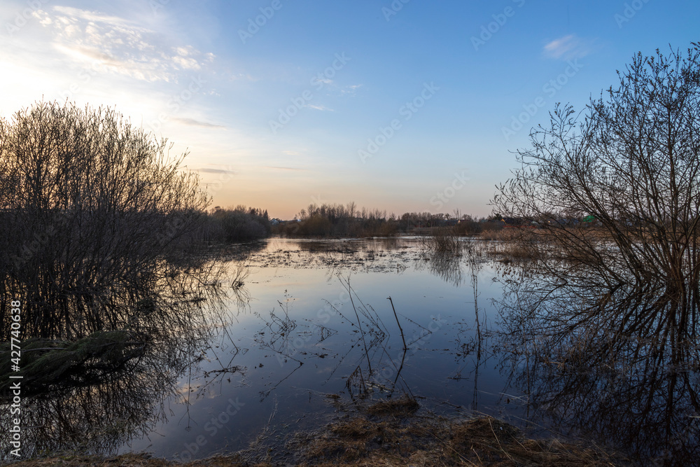 The river overflowed its banks. Flooded land and bushes. Bushes and trees are reflected in the water. Evening landscape with a river and houses on the horizon.