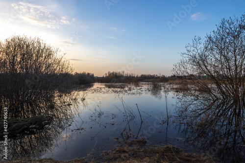 The river overflowed its banks. Flooded land and bushes. Bushes and trees are reflected in the water. Evening landscape with a river and houses on the horizon.