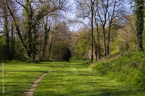 Tableau sur toile Sentier pédestre en lisière de bois