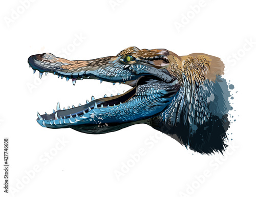 Crocodile head portrait from a splash of watercolor, colored drawing, realistic. Vector illustration of paints