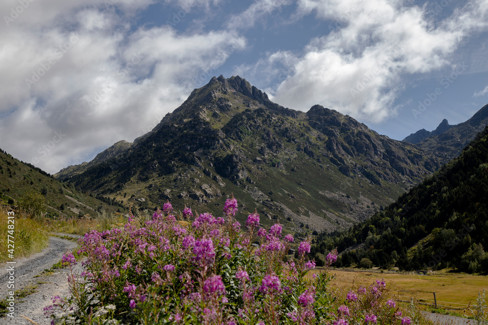 Beautiful landscape in Incles Valley Beautiful landscape in Incles Valley