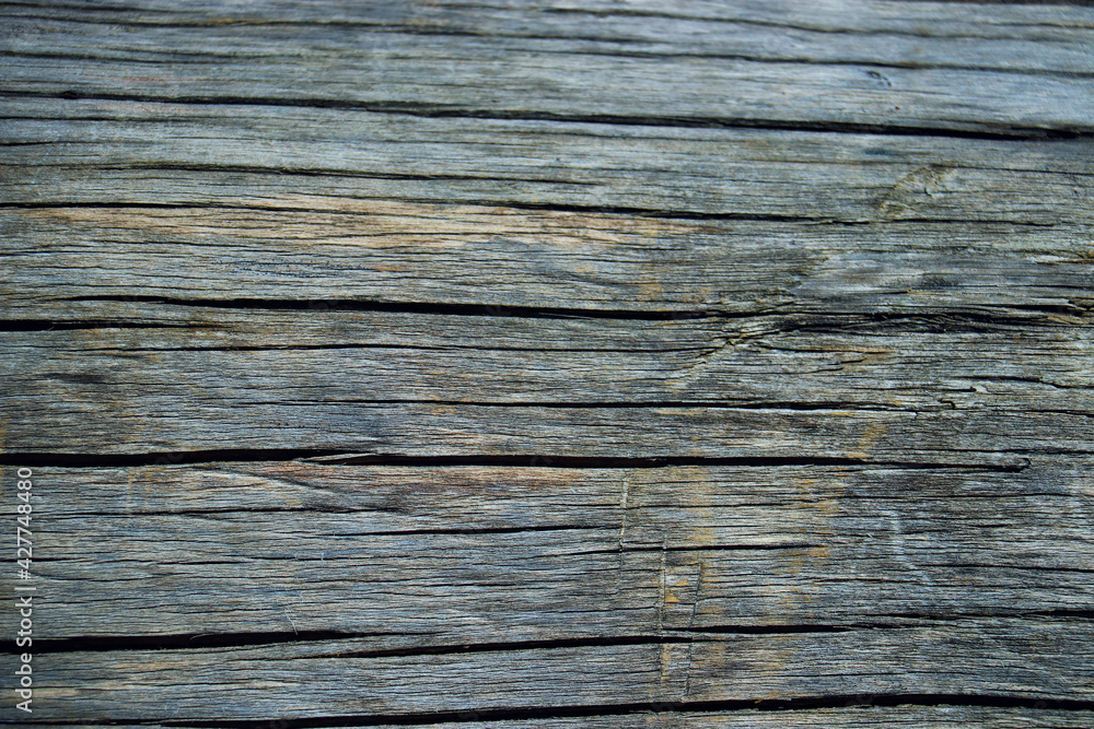 wood tree timber background texture structure backdrop wood tree timber background texture structure backdrop