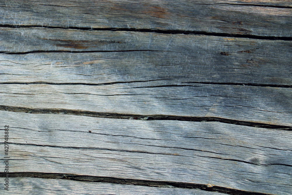 wood tree timber background texture structure backdrop wood tree timber background texture structure backdrop