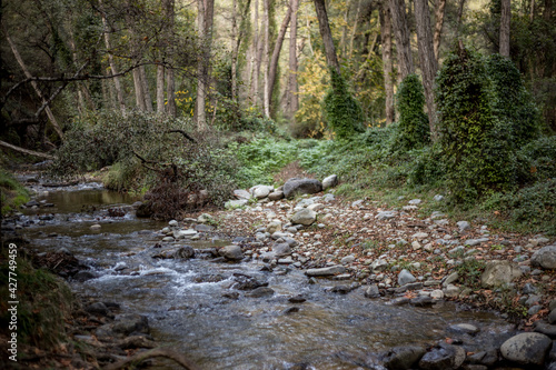 A small mountain river. A clear river flows between beautiful large rocks and tall trees. Spring landscape in Cyprus in the Troodos mountains