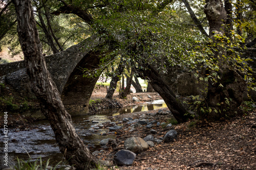 The Venetian Bridge in Cyprus in the Troodos Mountains. Beautiful autumn landscape with a river, trees and an ancient bridge. Medieval architecture