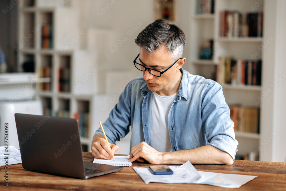 Fototapeta premium Focused mature gray haired intelligent caucasian businessman or freelancer with glasses, sitting at workplace, taking notes in notebook, studying or working online, using laptop
