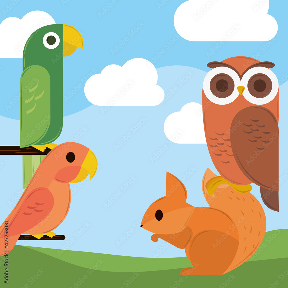 Fototapeta premium birds squirrel geometric