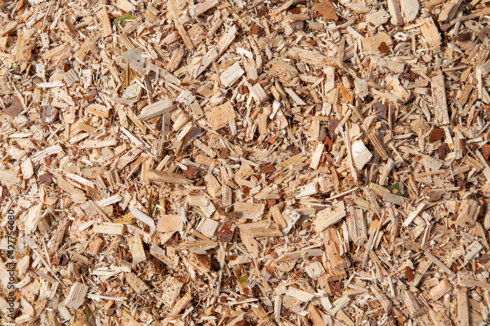Sawdust or wood dust texture background. Oblong sawdust after woodworking. Wood background Sawdust or wood dust texture background. Oblong sawdust after woodworking. Wood background