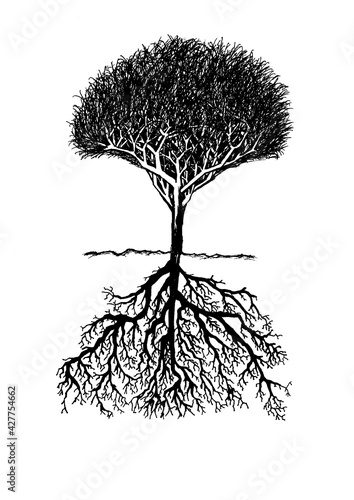 Living Tree