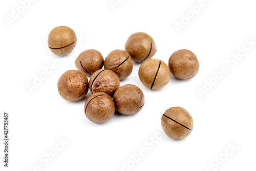 Wallpaper Mural Macadamia nuts roasted in shell isolated on white Torontodigital.ca