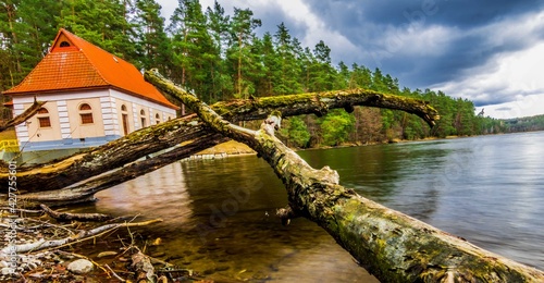 Obraz na płótnie Trees on the Lake w salonie