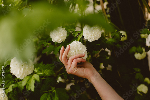 hand picking flower feel nature