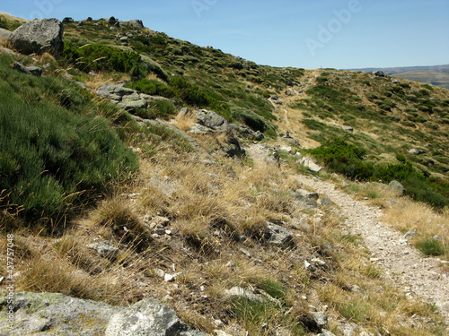 EL TOROZO GREDOS PUERTO DEL PICO photo