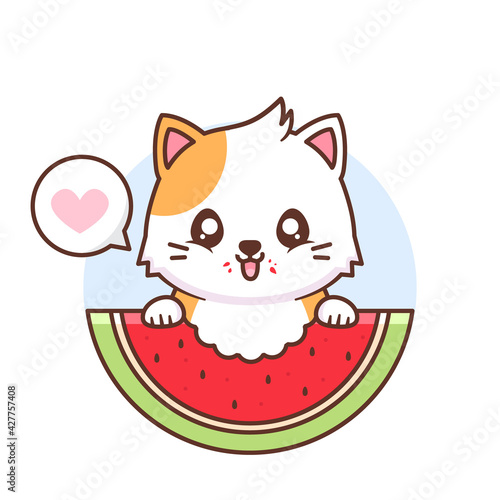 cute happy cat eating watermelon