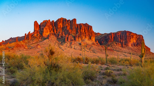 Saguaro Cactus and the Superstition Mountains