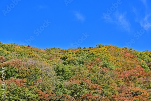 遊歩道から見た青空バックの抱返り渓谷の紅葉情景＠秋田