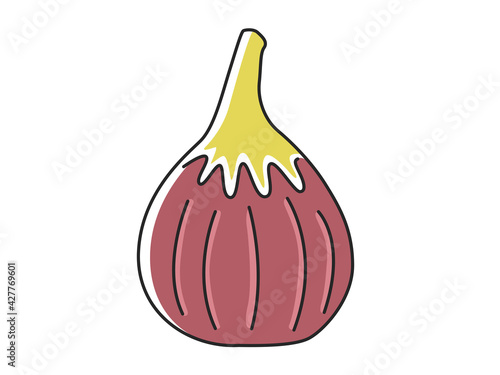 果物の無花果のイラスト