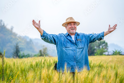Asian senior man farmer standing in rice paddy wheat field with happiness. Smiling elderly male farm owner working and preparing harvest organic wheat crop plant. Agriculture product industry concept