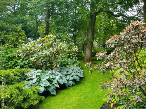 green garden with trees