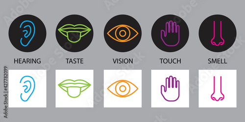 Doodle sense organs. Cartoon icon with sense organs. Line symbol. Stock image. Vector illustration. EPS 10.