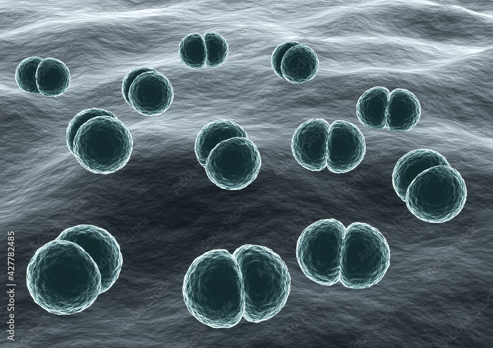 Microscopic view of Bacteria Streptococcus pneumoniae causative agent of  pneumonia Stock Illustration | Adobe Stock